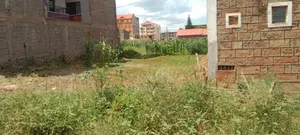 Thika Nanazi Prime Plot