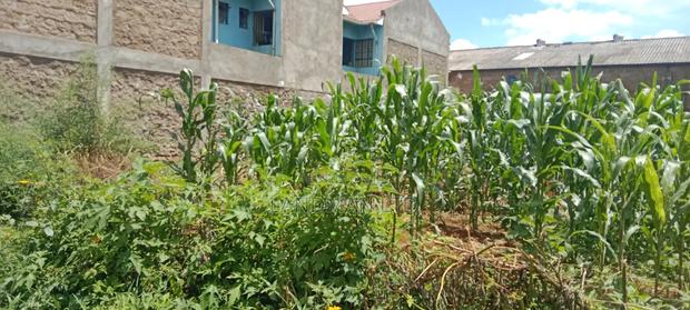 Thika Nanazi Prime Plot - thumbnail 3