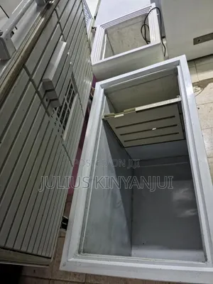 400l Closed Freezer