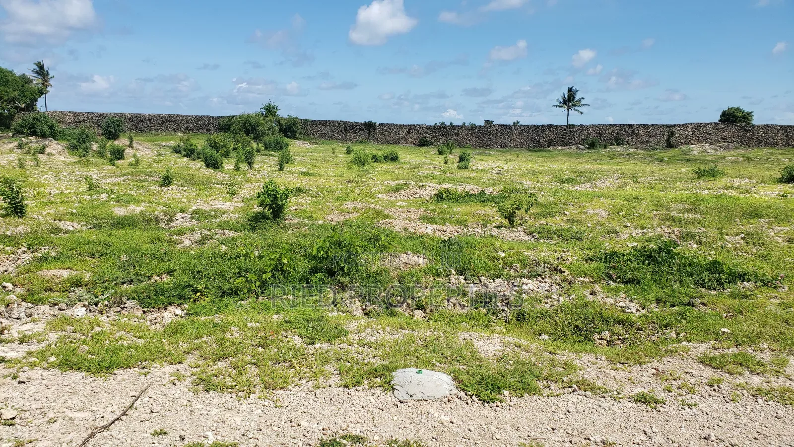 100by100 Beachplots in Malindi, Kilifi for Sale