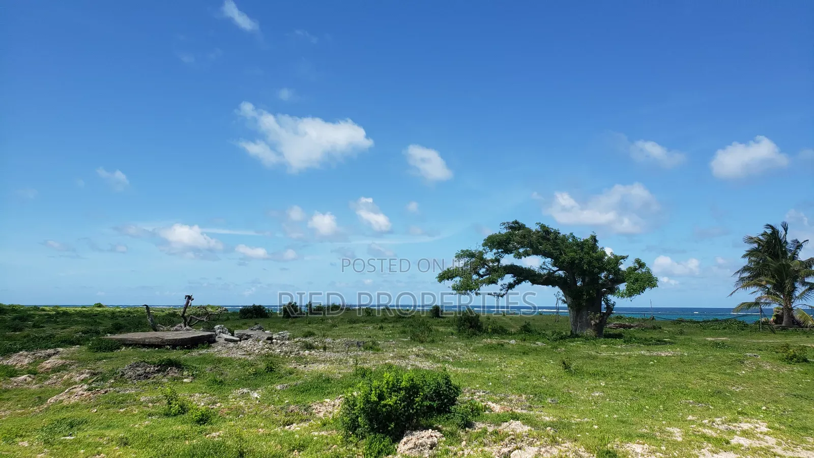 100by100 Beachplots in Malindi, Kilifi for Sale