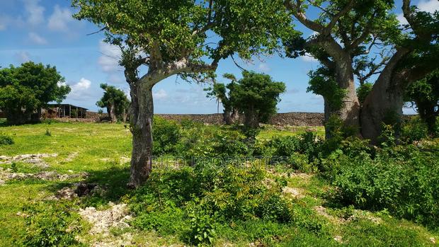 6.5 Acre Beachplot in Malindi, Kilifi for Sale