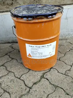 Cementitious Waterproofing Coating/ Masterseal 501
