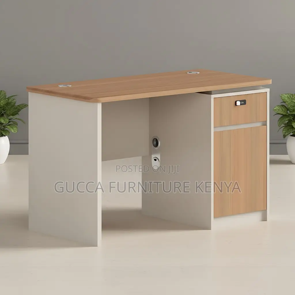 Ergonomic Home Study Room Desk With Drawers