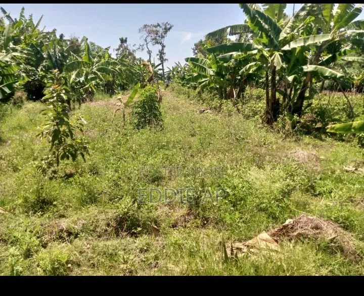 Farm Land in Kikubi Suba