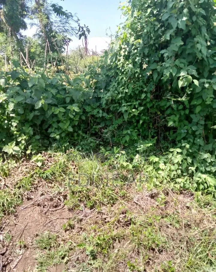 Farm Land in Kikubi Suba