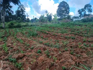 50/100 Plot For Sale At Kamuyu 1 Kilometer From Outspan Hospital