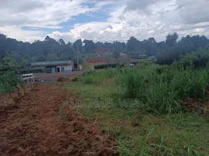 50/100 Plot For Sale At Kamuyu 1 Kilometer From Outspan Hospital