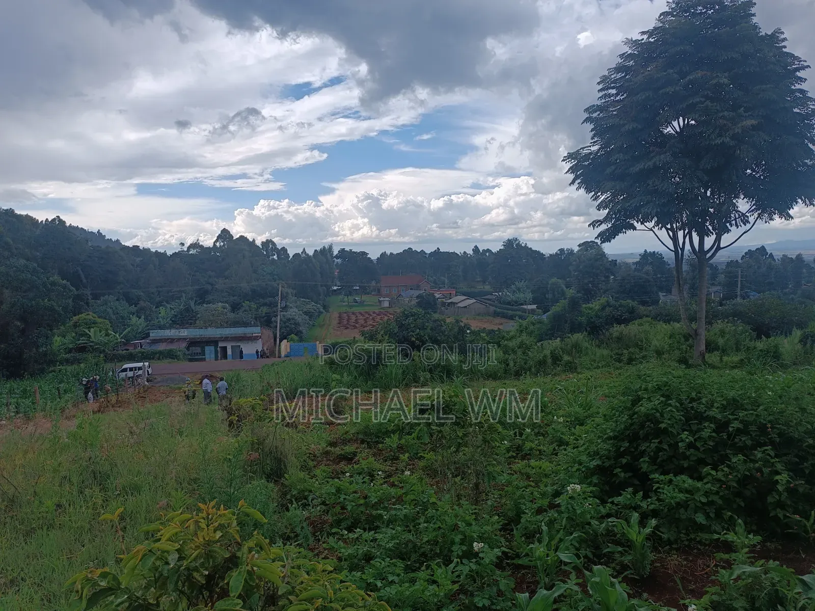 50/100 Plot For Sale At Kamuyu 1 Kilometer From Outspan Hospital