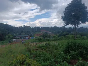 50/100 Plot For Sale At Kamuyu 1 Kilometer From Outspan Hospital