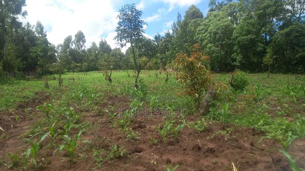 Land Plots - main view