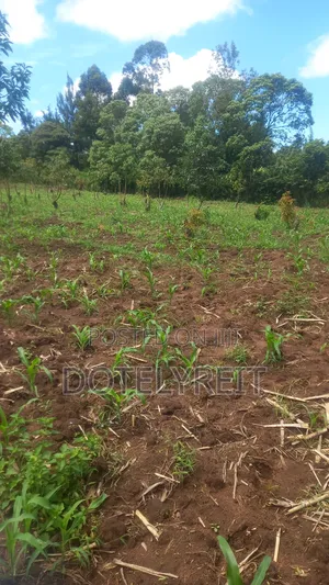 Land Plots