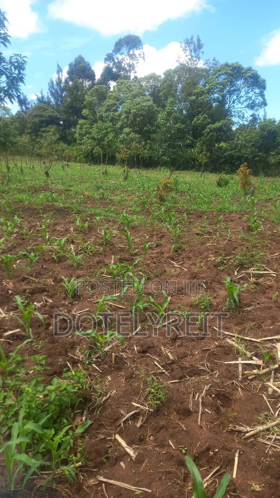 Land Plots
