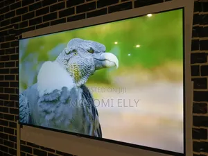 Hikers 55 Inch Tv