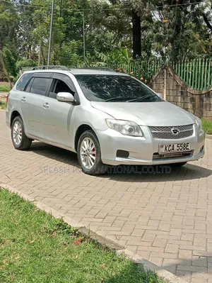 Toyota Corolla Fielder 2007 Silver