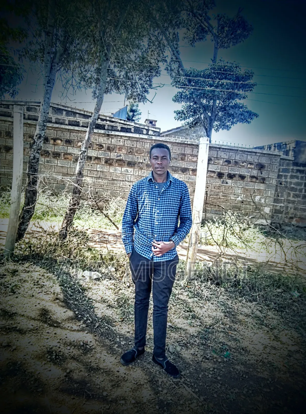 Looking for a Job