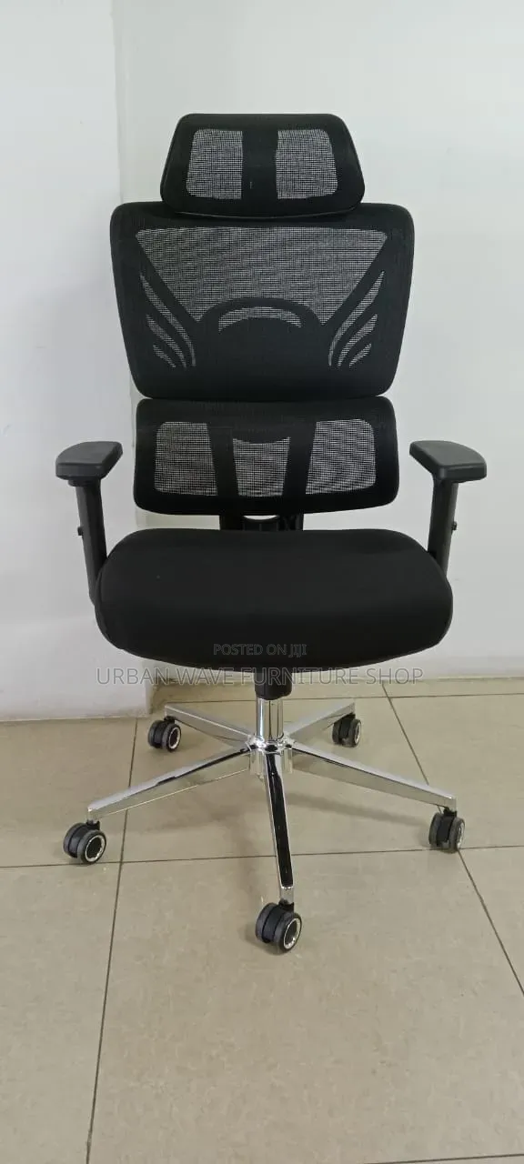 Orgonomic Office Chair