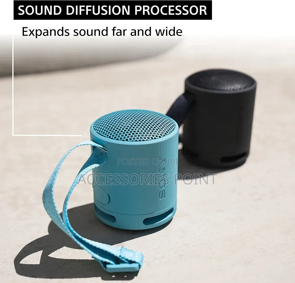 Sony Xb100 16hrs Battery, Conference-Calling, Waterproof, Deep Bass
