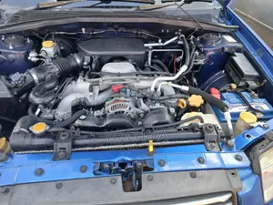 Subaru Forester 2.0 X Trend 2007 Blue