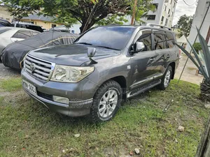 Toyota Land Cruiser 2010 Gray