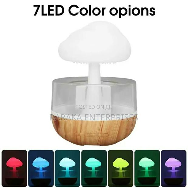 *Rain Cloud Humidifier Available - main view