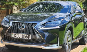 Lexus RX 2014