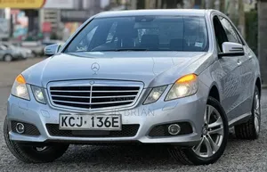 Mercedes-Benz E300 2009 Silver