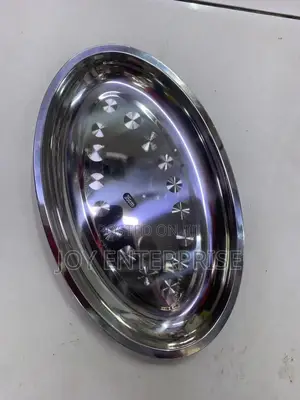 Oval Plater/ Stainless Plate