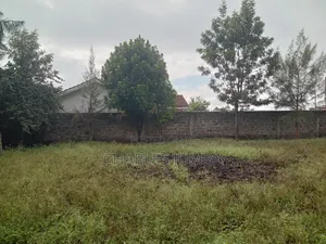 Prime Milimani Plot