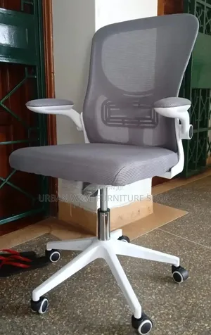 Orgonomic Office High Back Chair