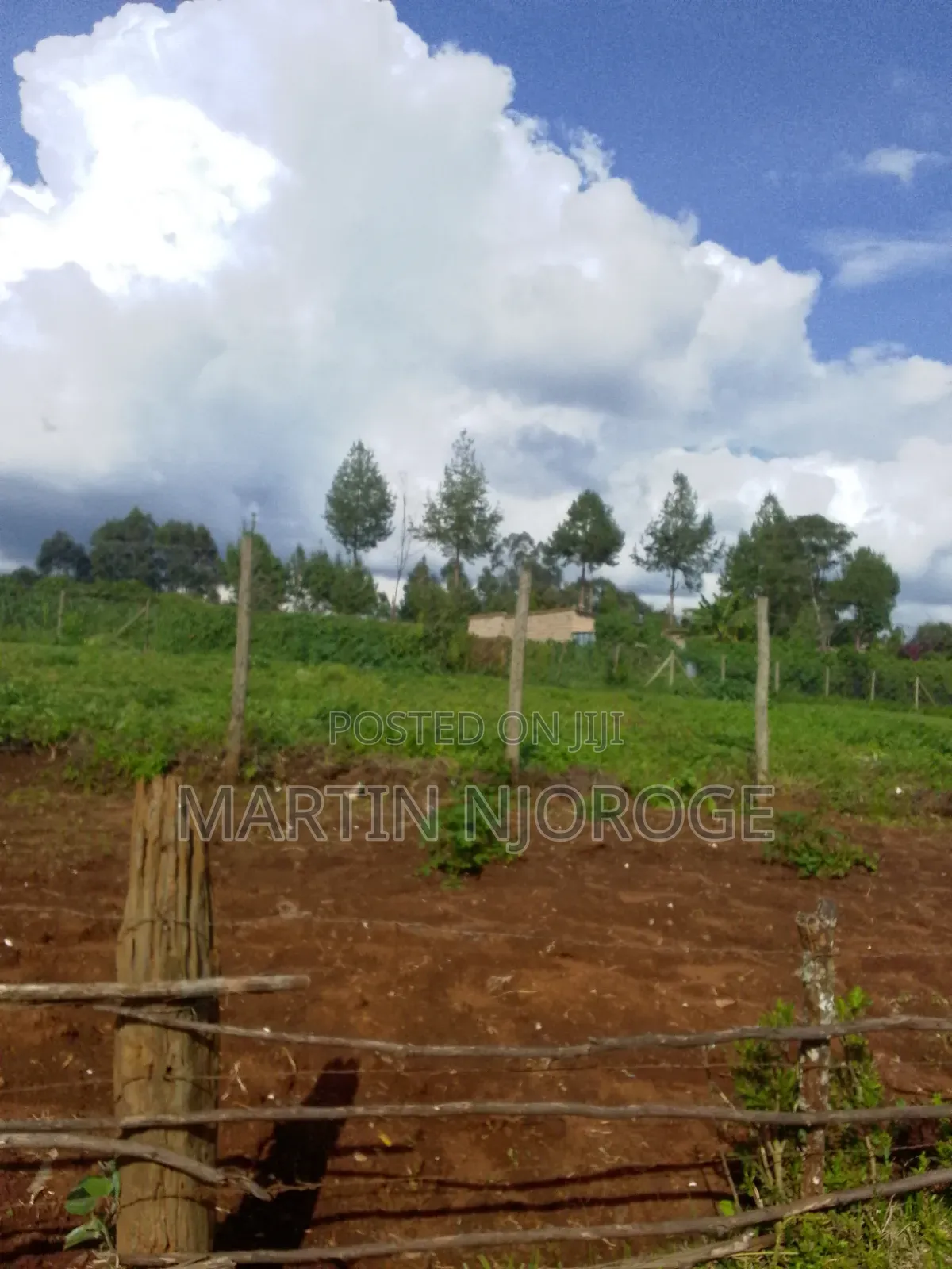 100 by 100 Plot Ngarariga