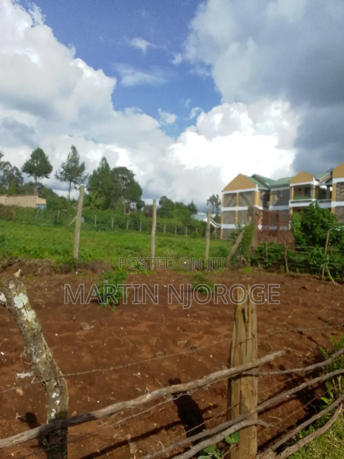 100 by 100 Plot Ngarariga