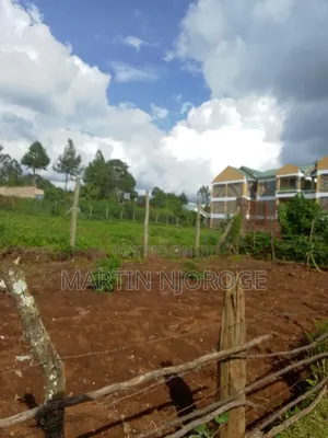 100 by 100 Plot Ngarariga