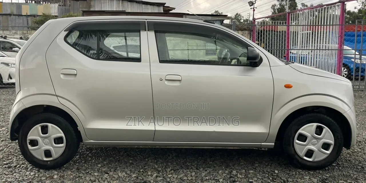 Suzuki Alto 2019 Silver