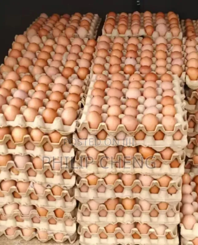 Milk Wholesale