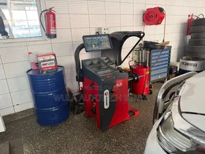Heavy Duty and Industrial Use Vehicle Wheel Balancer S-828 Sunshine