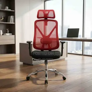 Modern Office Chair : Ergonomic High-Back Office Mesh Chair