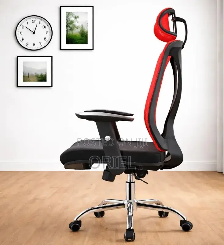 Modern Office Chair : Ergonomic High-Back Office Mesh Chair