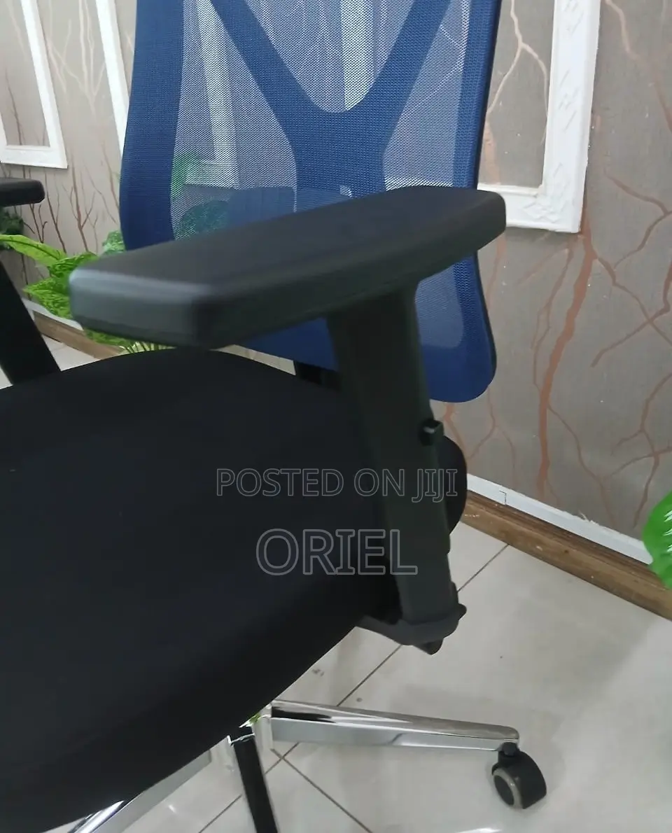 Modern Office Chair : Ergonomic High-Back Office Mesh Chair