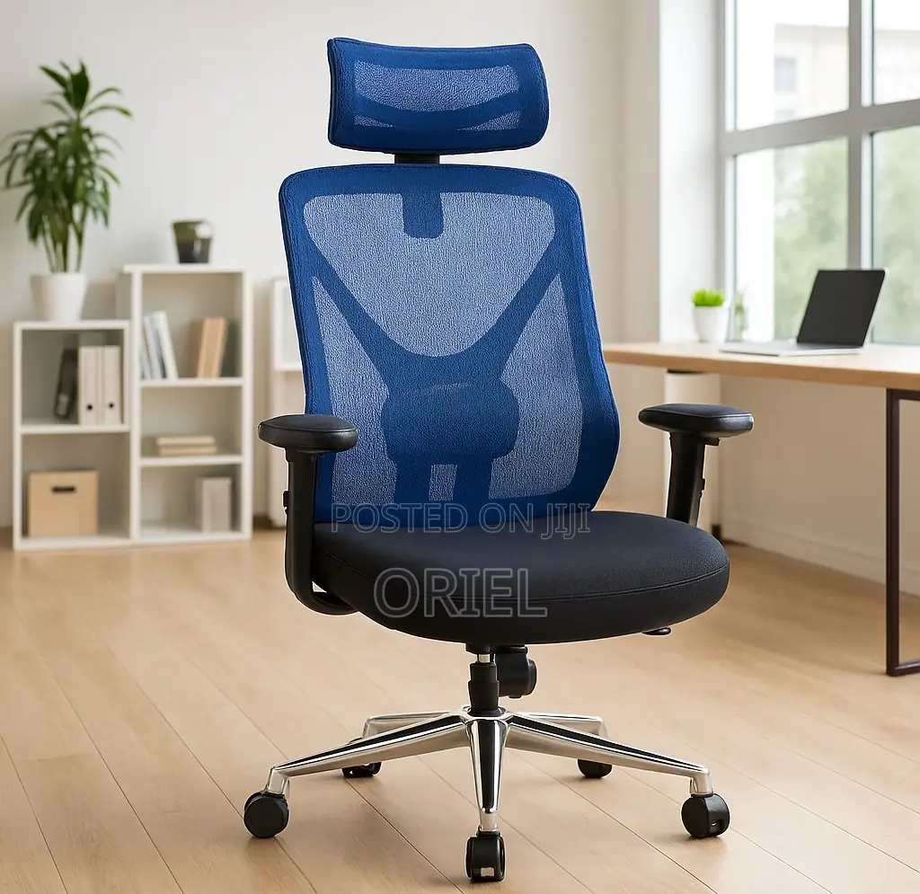 Modern Office Chair : Ergonomic High-Back Office Mesh Chair