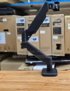 Economic Single Monitor Arm