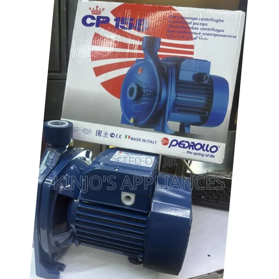 1 Pedrolla Water Pump