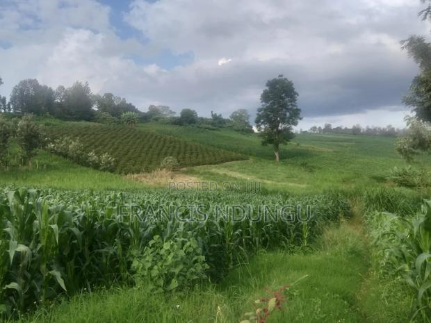 Build Your Dream County Home in Cianda Estate Kiambu.