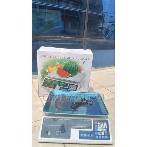 Acs30/30kg Digital Weighing Scale/Butchery Scale