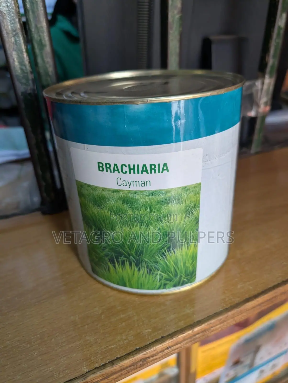 Brachiaria Cayman Grass Seeds 1kg