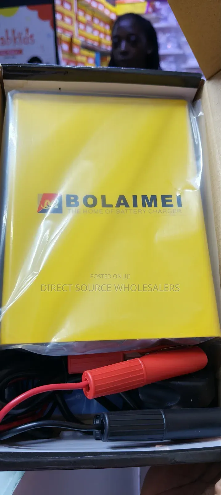 Bolaimei Smart Car Battery Charger 12v/24v