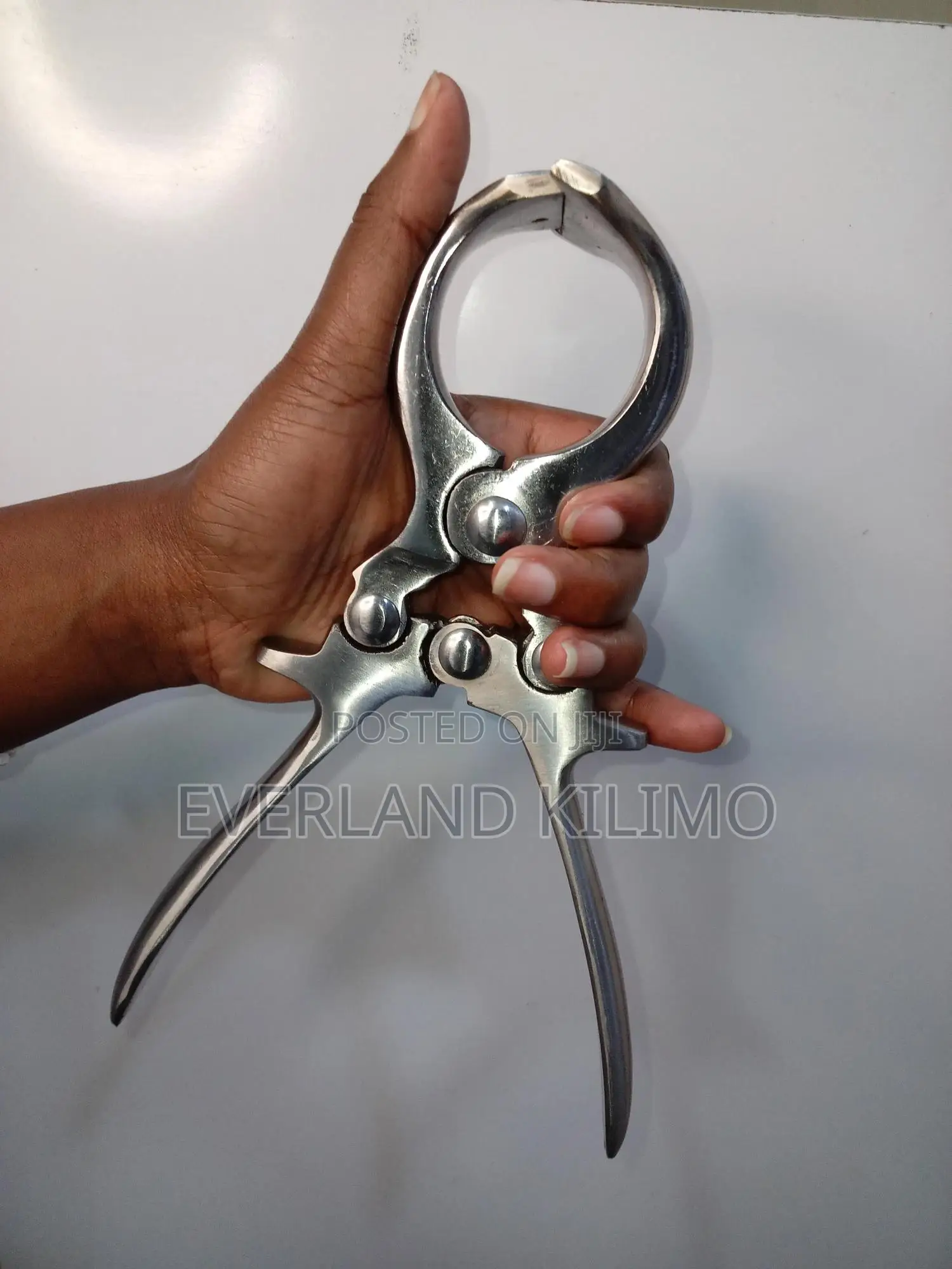 Bloodless Castration Budizzo - Small