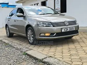 Volkswagen Passat 2013 Beige