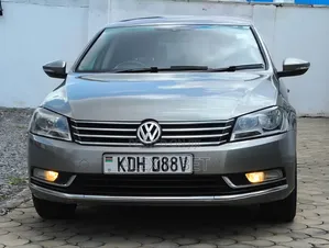 Volkswagen Passat 2014 Beige