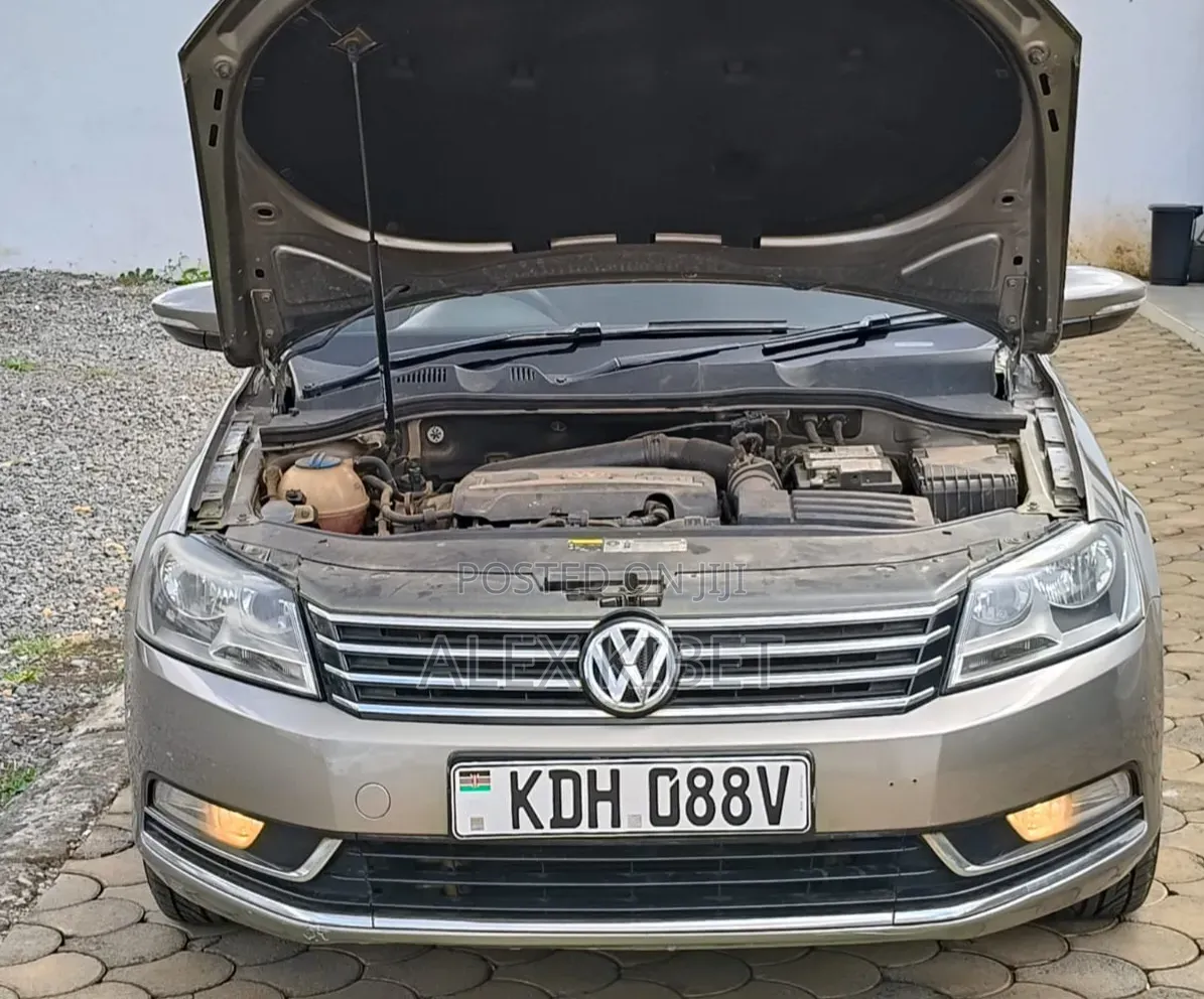 Volkswagen Passat 2014 Beige
